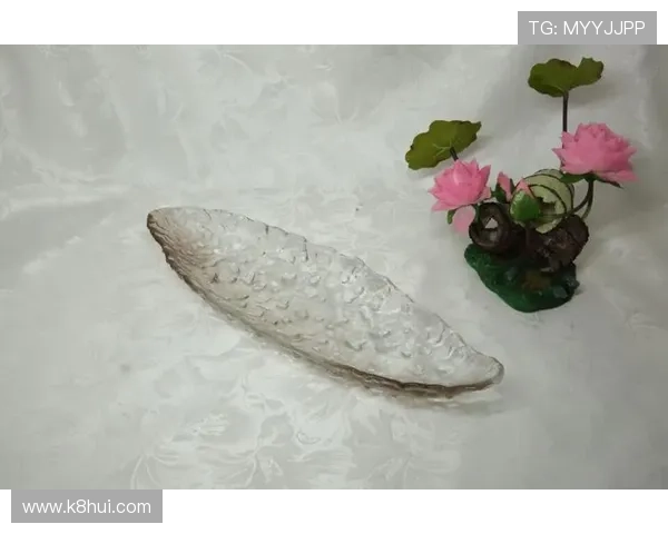 凯发集团地址下载网址查询操作指南，详细步骤让您轻松完成访问