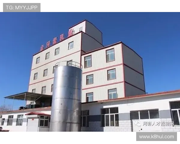 解读凯发集团有限公司的品牌建设与市场推广策略