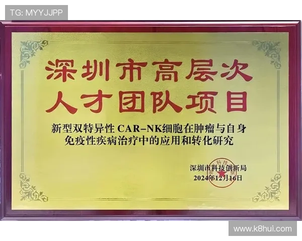 全面了解k8凯发国际娱乐大厅的支付方式与提现流程，确保每一笔交易安全顺畅